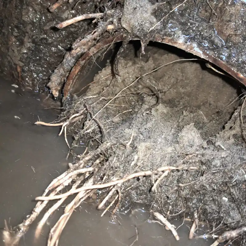 Blocked Drains Plumber in Nelson Bay